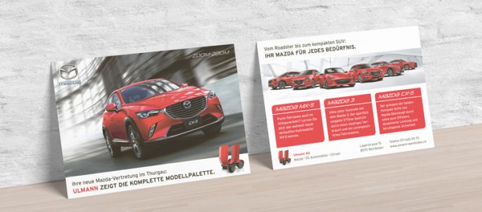 Portfolio Beispiel CI-Umsetzung